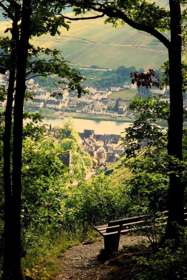Апартаменты Mosel Panorama Целль-ан-дер-Мозель Экстерьер фото