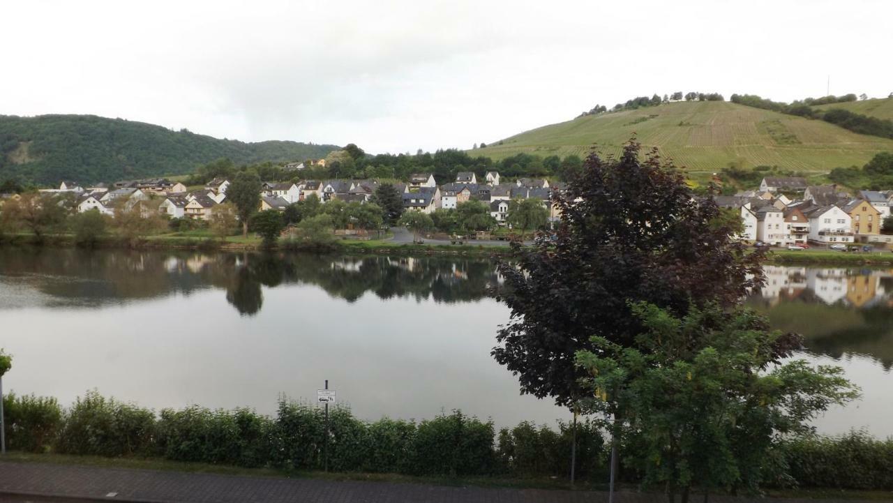 Апартаменты Mosel Panorama Целль-ан-дер-Мозель Экстерьер фото